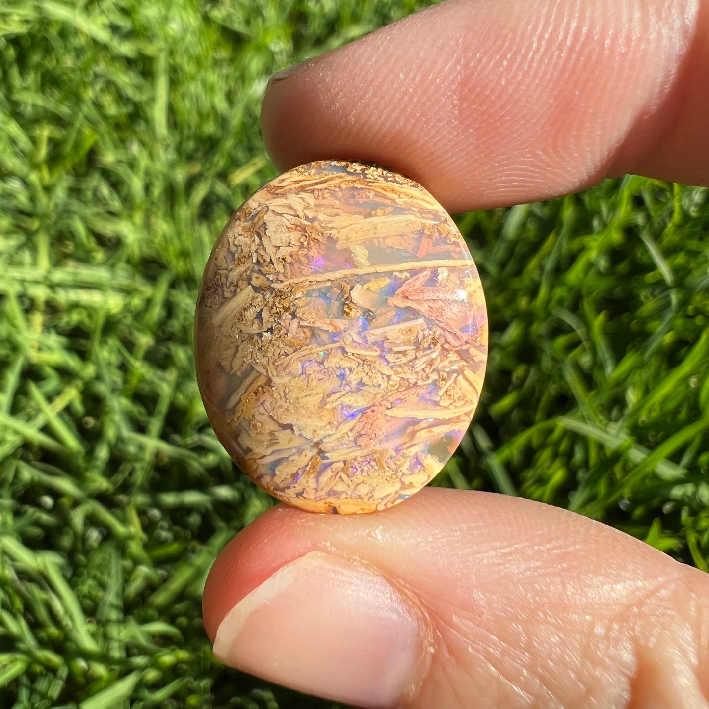 12.77 Ct 3D wood replacement opal