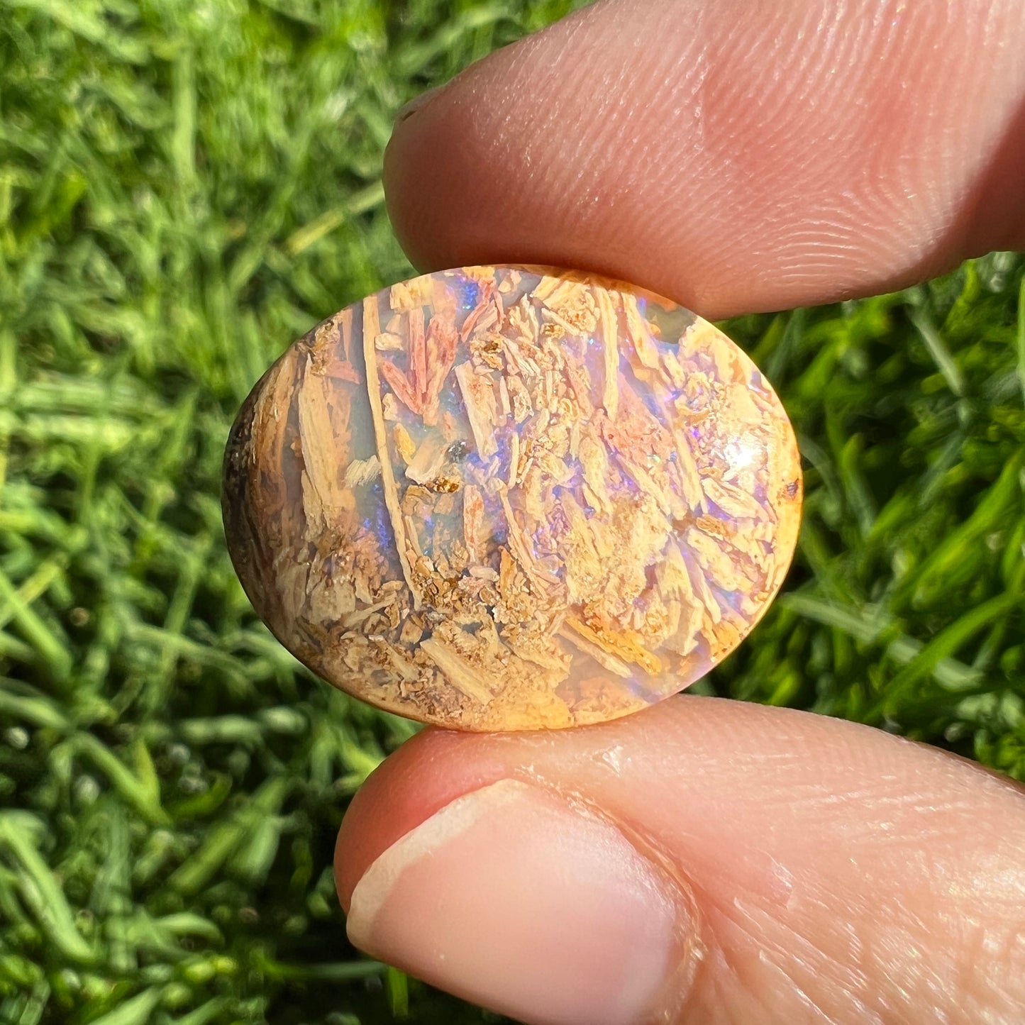 12.77 Ct 3D wood replacement opal