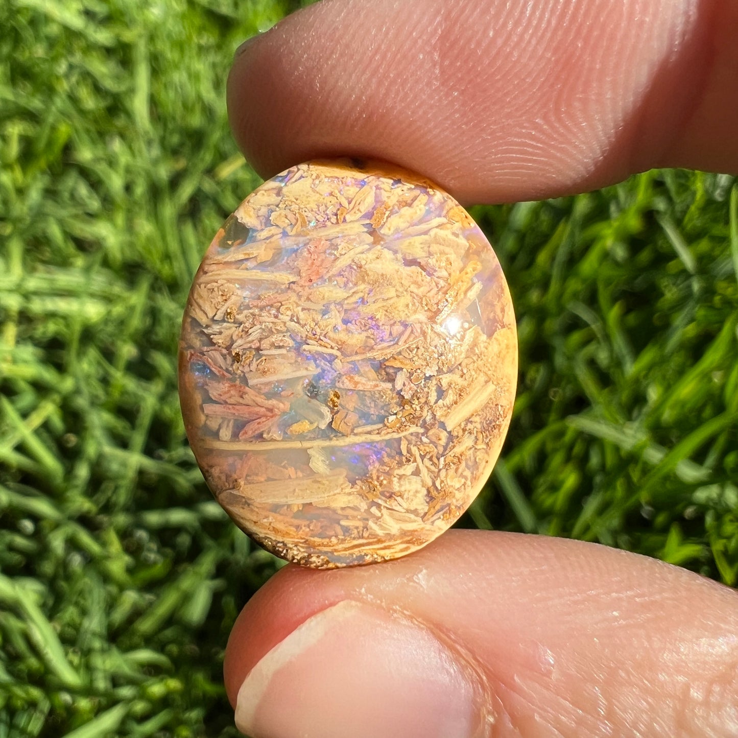 12.77 Ct 3D wood replacement opal