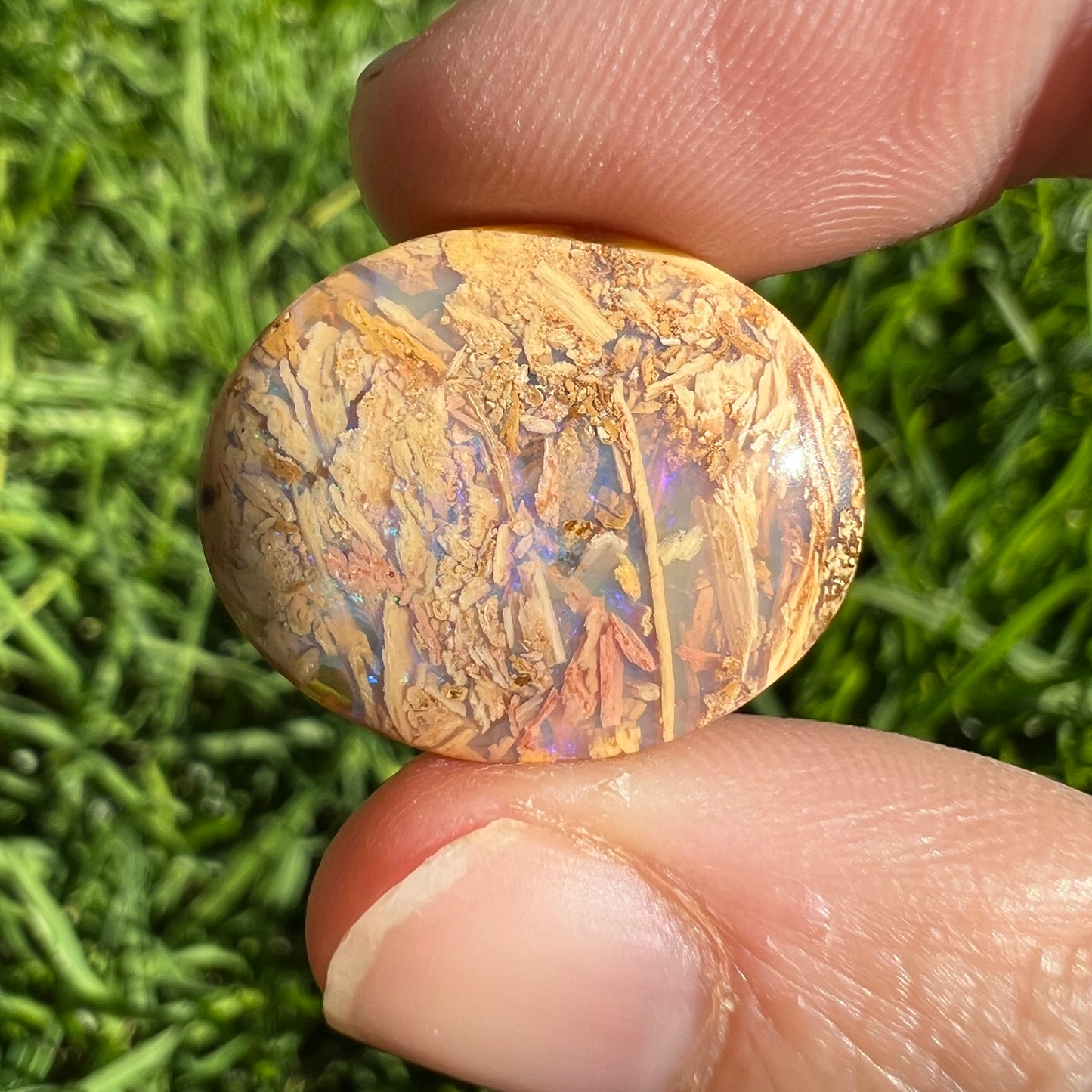 12.77 Ct 3D wood replacement opal