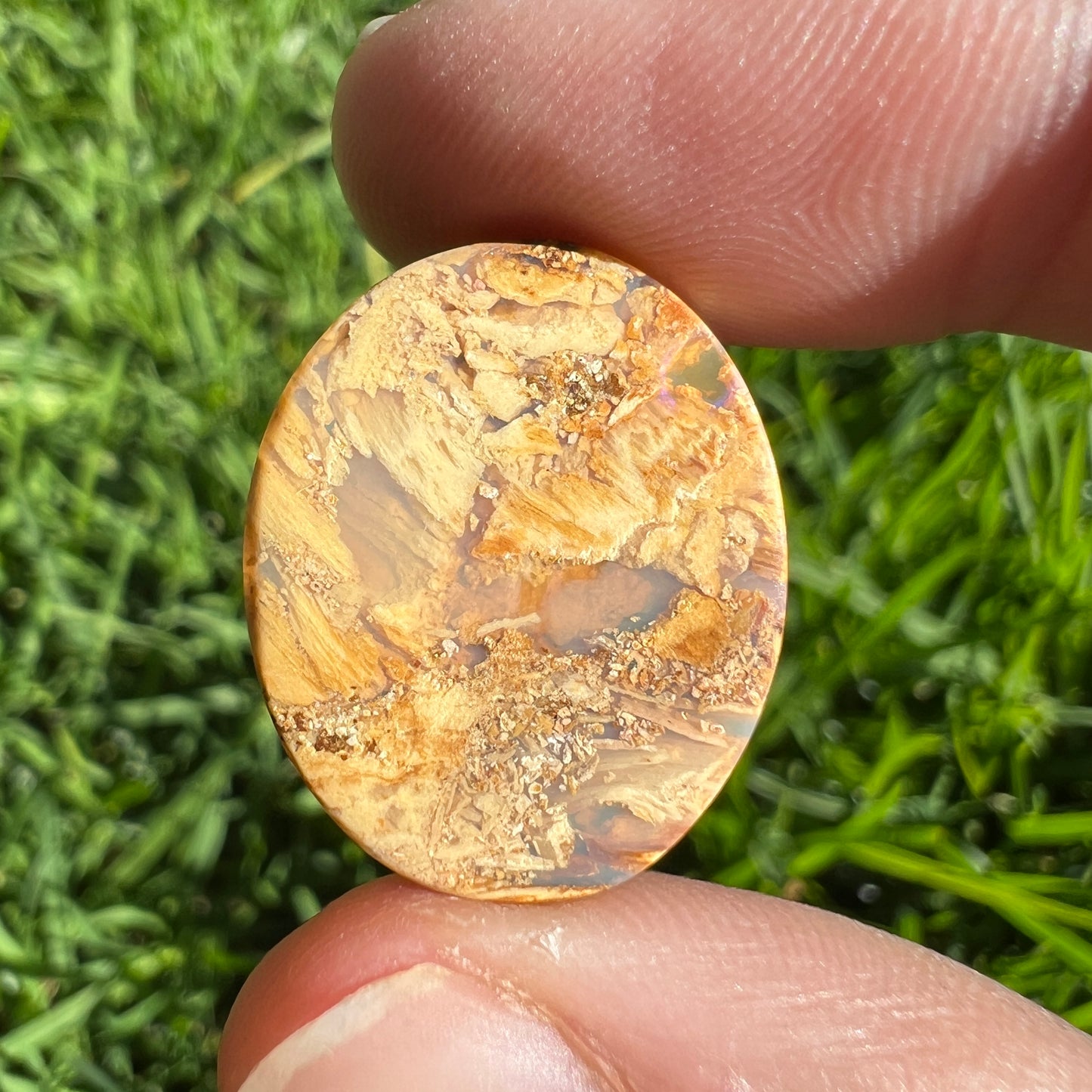 12.77 Ct 3D wood replacement opal