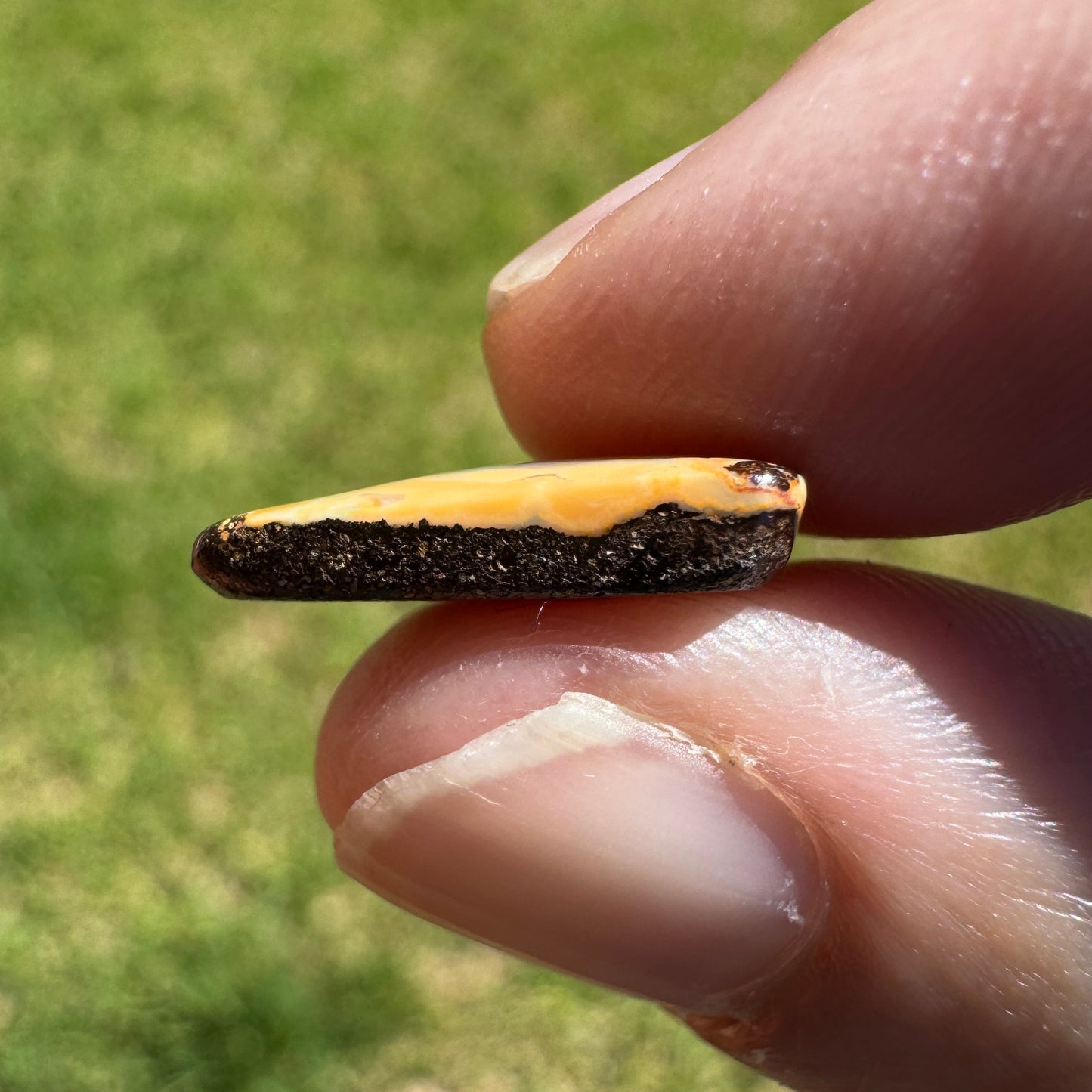 3.45 Ct small boulder opal - Broken River Mining