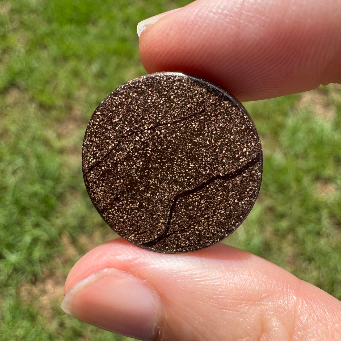 20.93 Ct large circle boulder opal