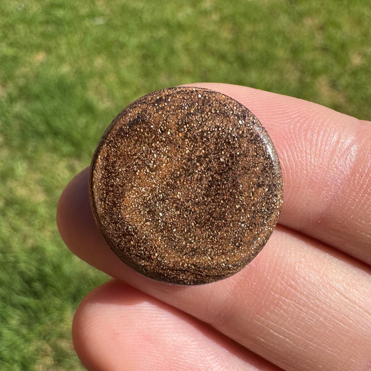 16.42 Ct striped circle boulder opal - Broken River Mining