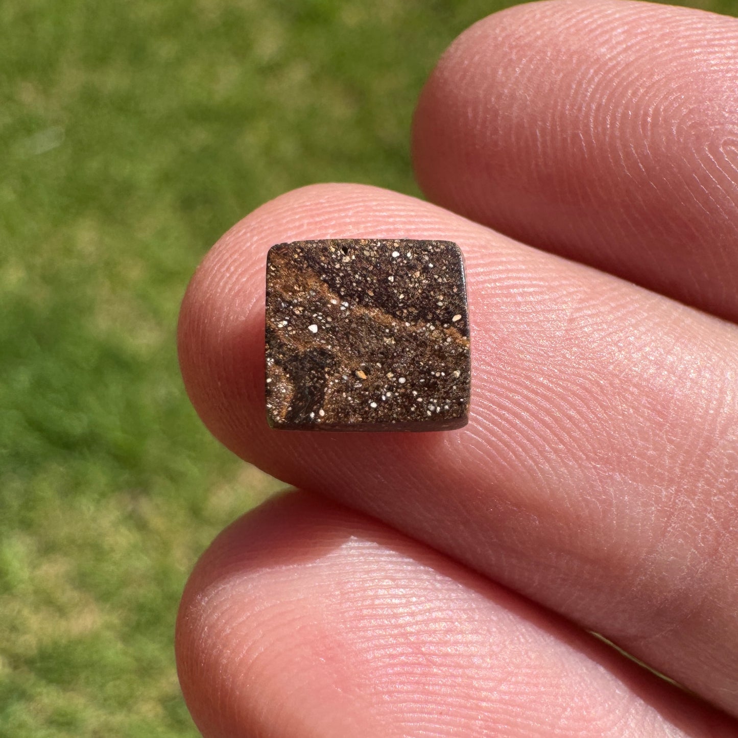 1.66 Ct small boulder opal - Broken River Mining