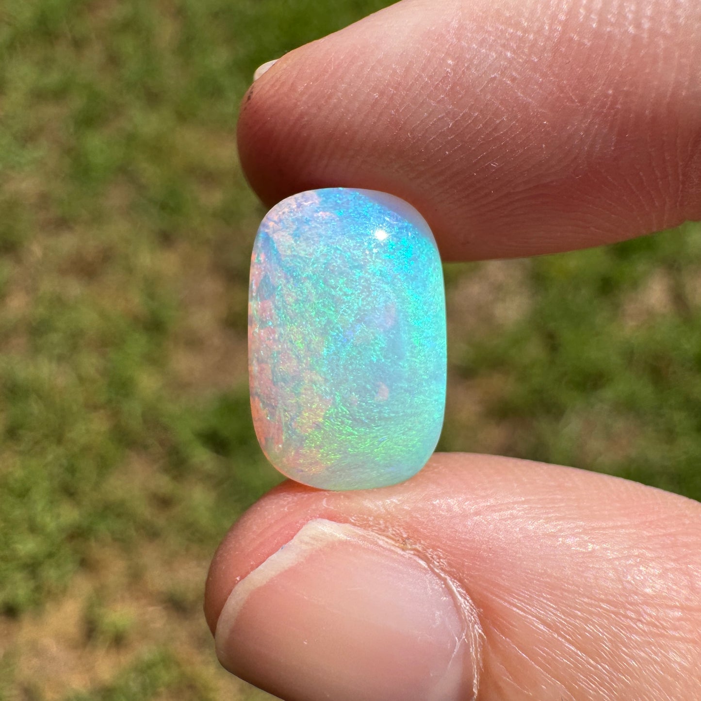 4.28 Ct wood replacement opal - Broken River Mining
