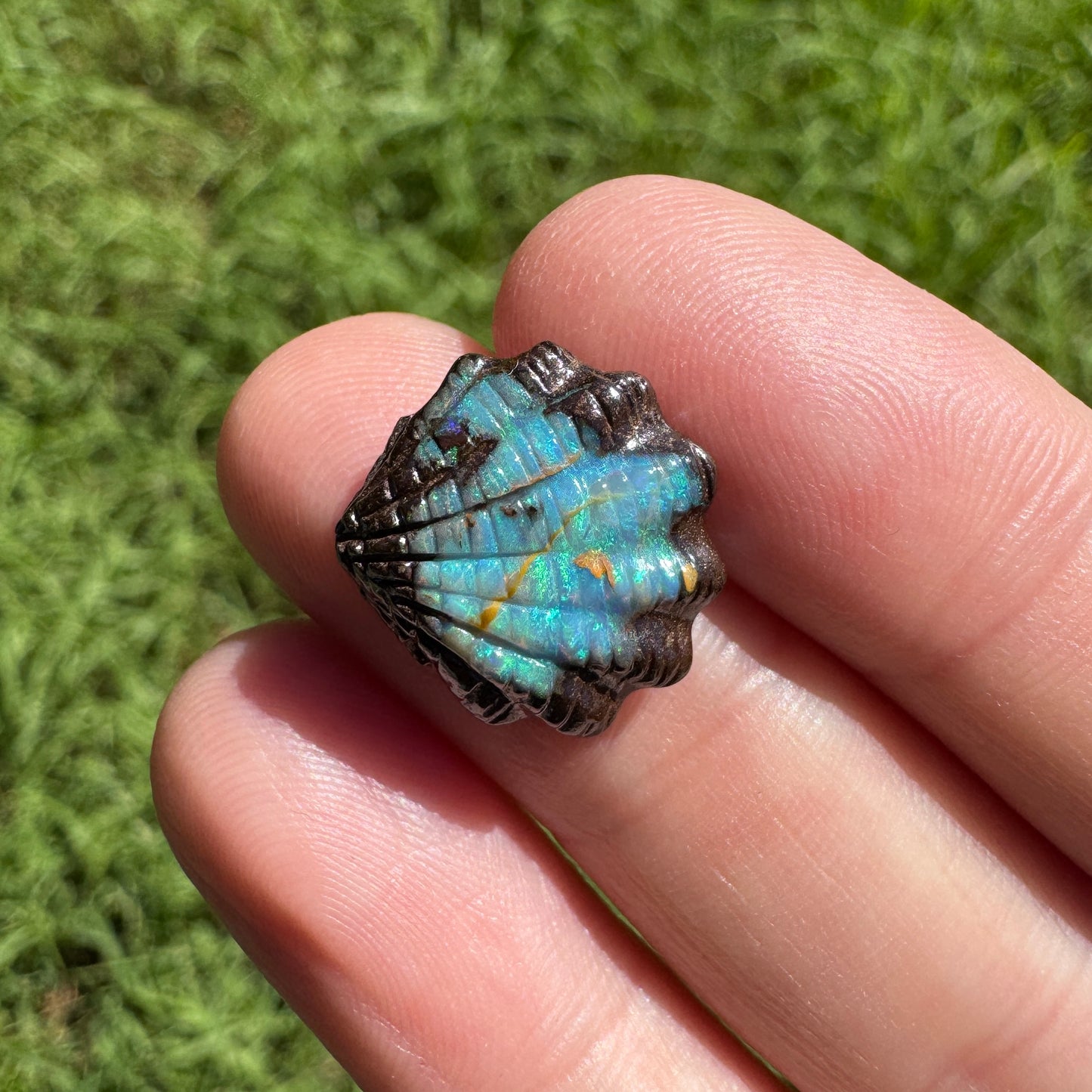 7.09 Ct fan shell boulder opal carving