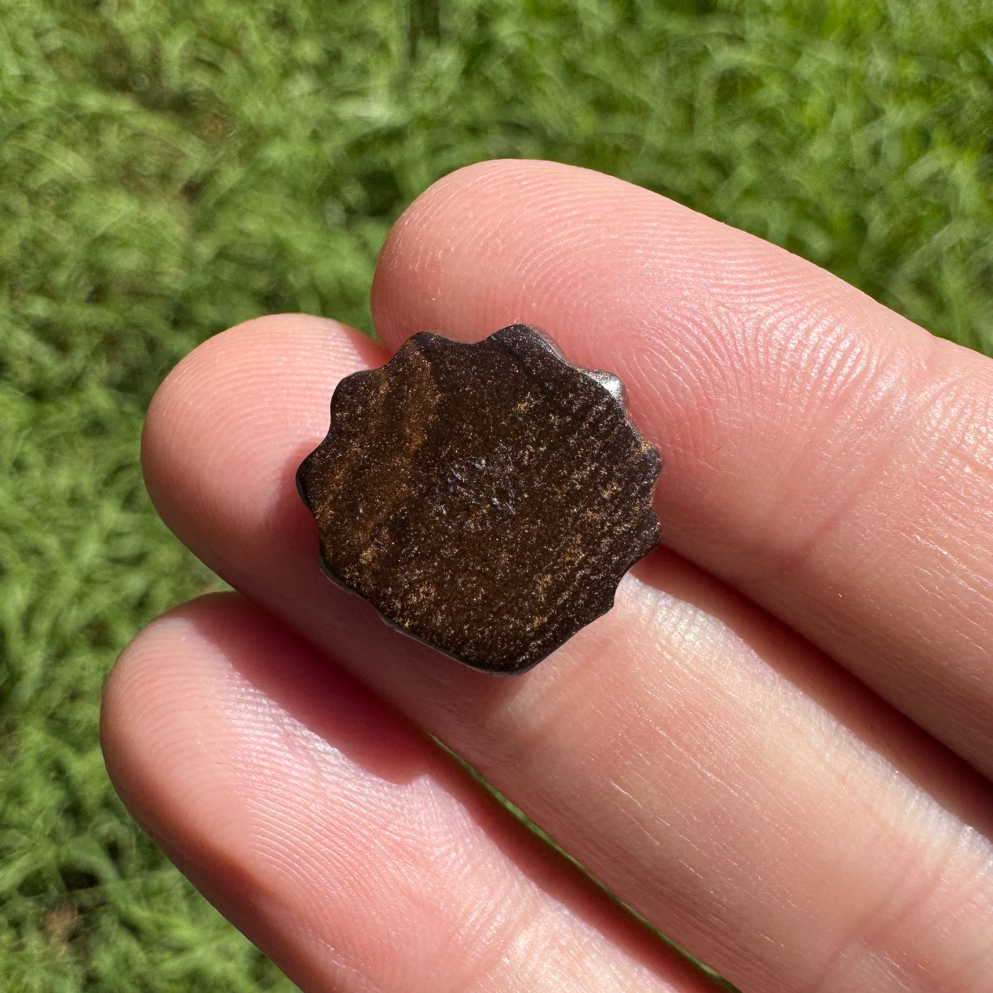 7.09 Ct fan shell boulder opal carving