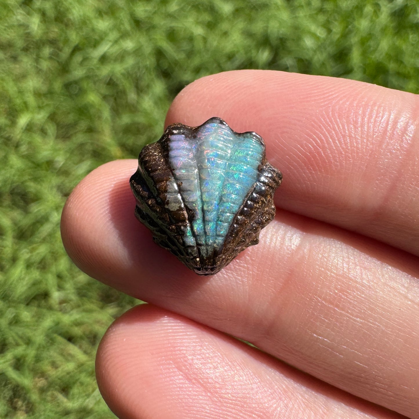7.15 Ct fan shell boulder opal carving