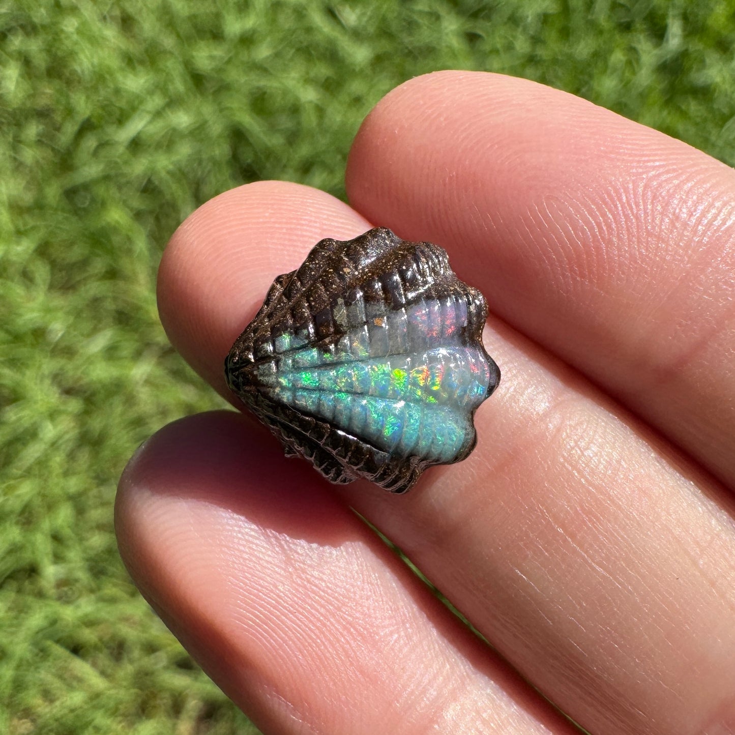 7.15 Ct fan shell boulder opal carving