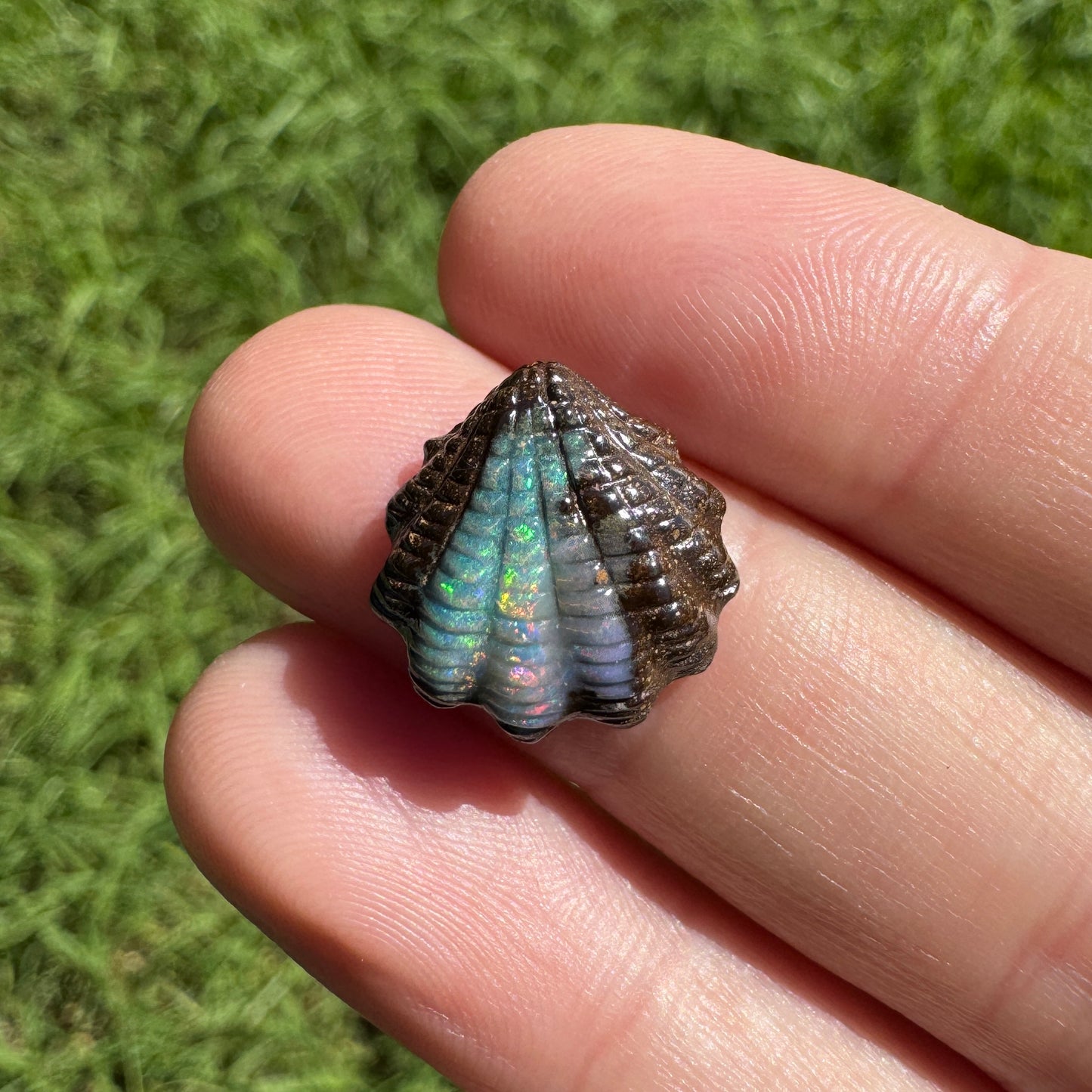 7.15 Ct fan shell boulder opal carving