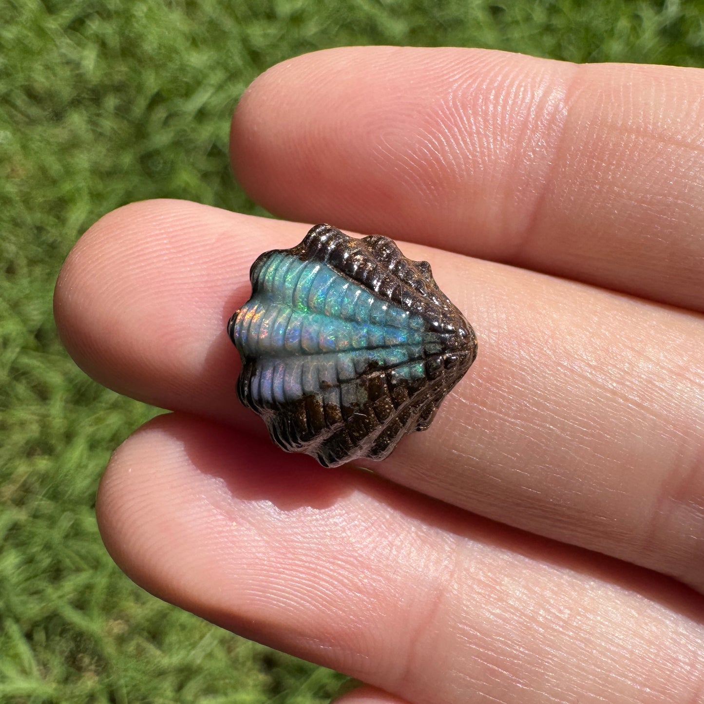 7.15 Ct fan shell boulder opal carving