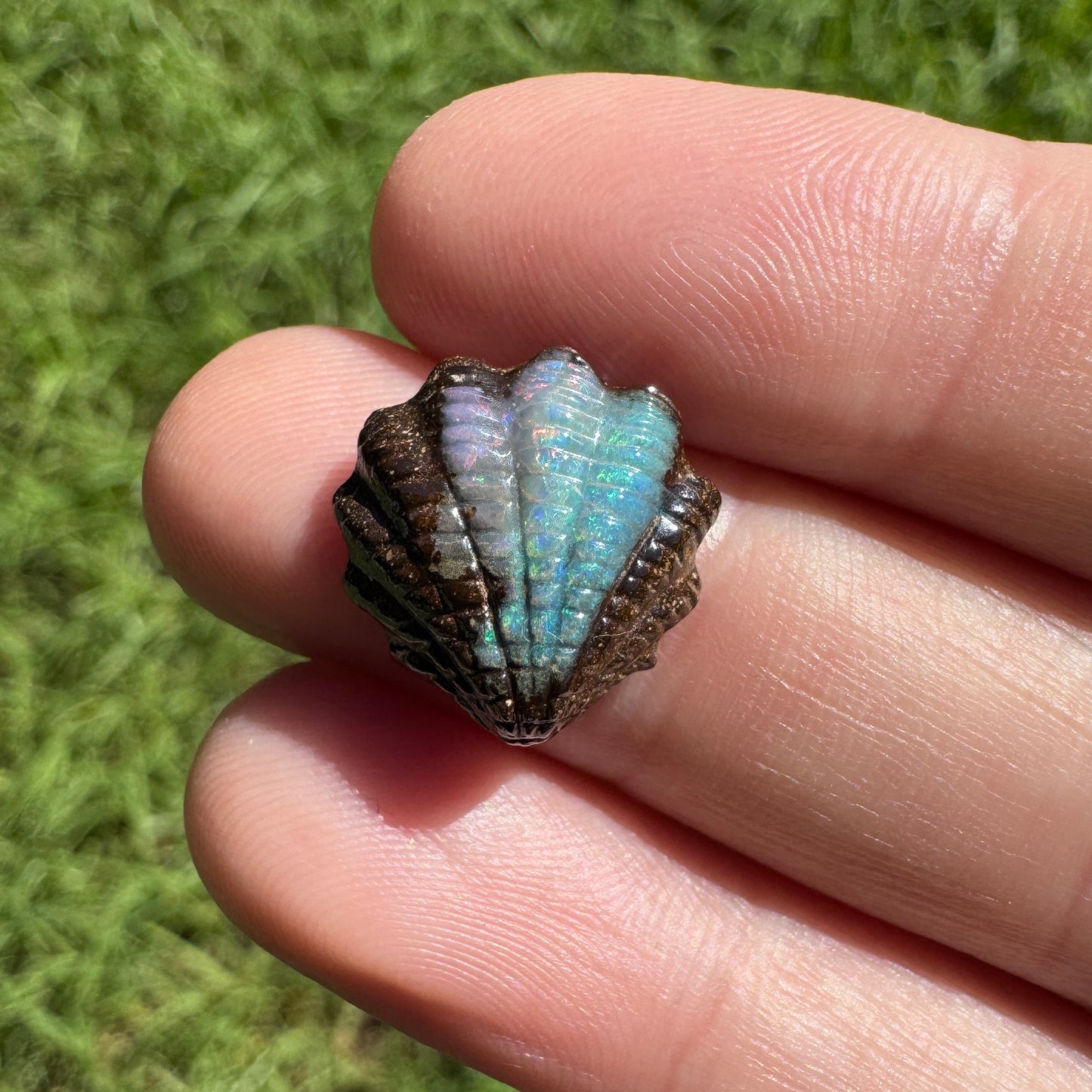 7.15 Ct fan shell boulder opal carving
