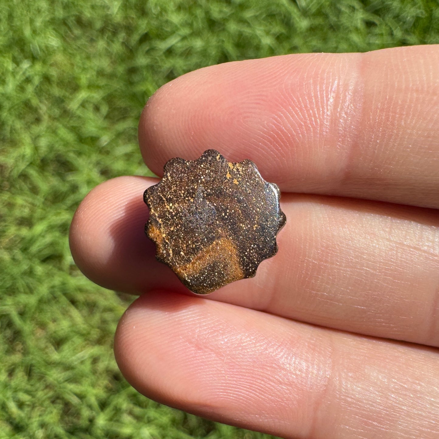 7.15 Ct fan shell boulder opal carving