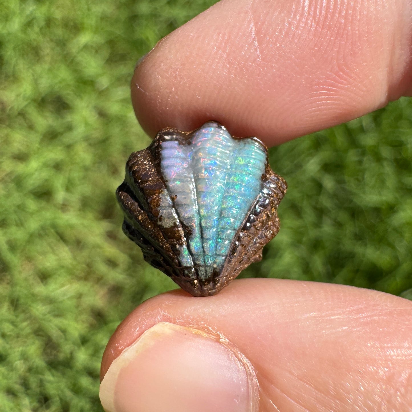 7.15 Ct fan shell boulder opal carving