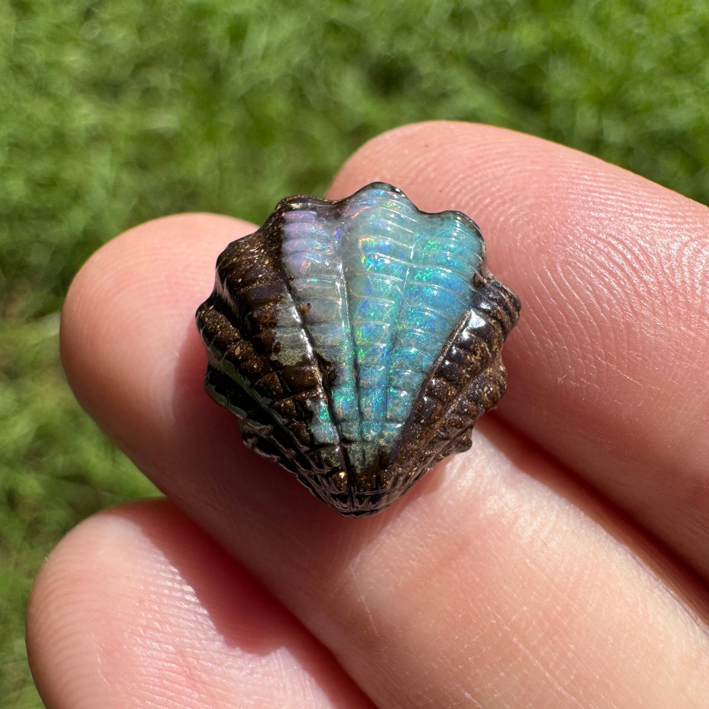 7.15 Ct fan shell boulder opal carving