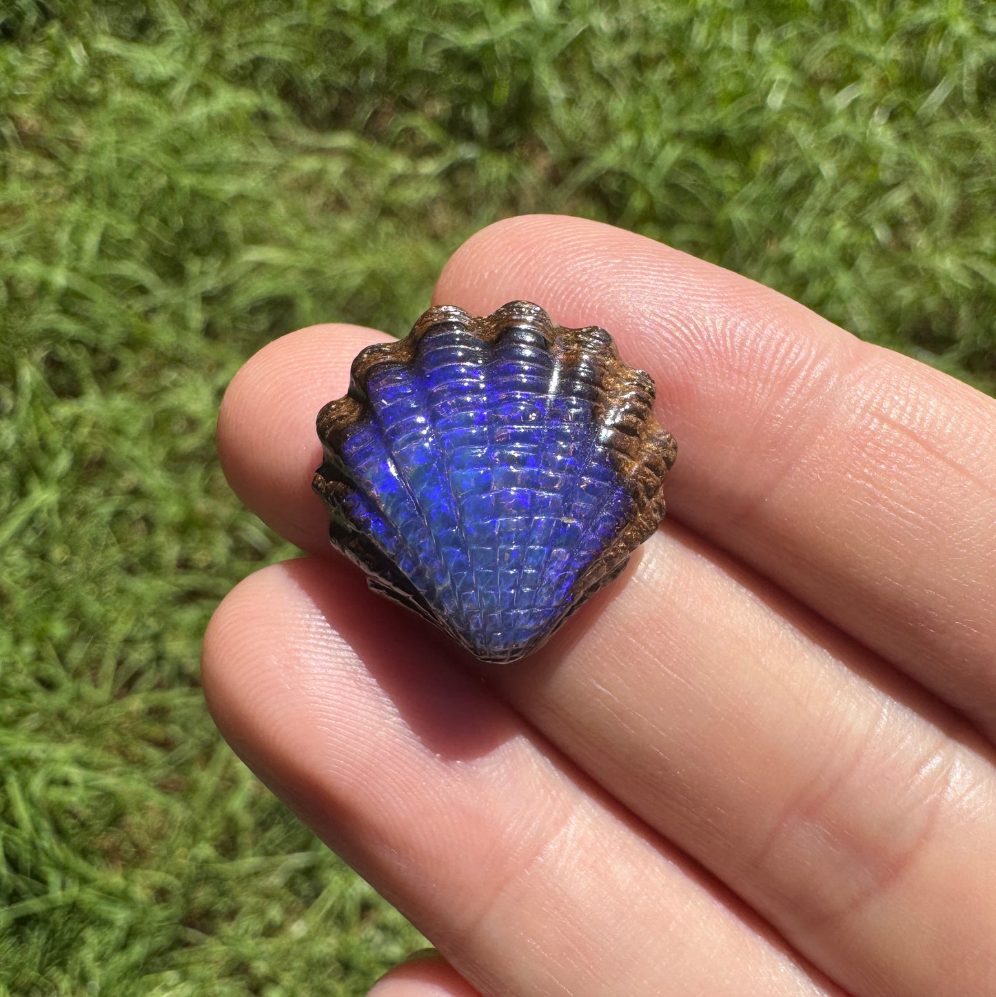 18.13 Ct fan shell boulder opal carving