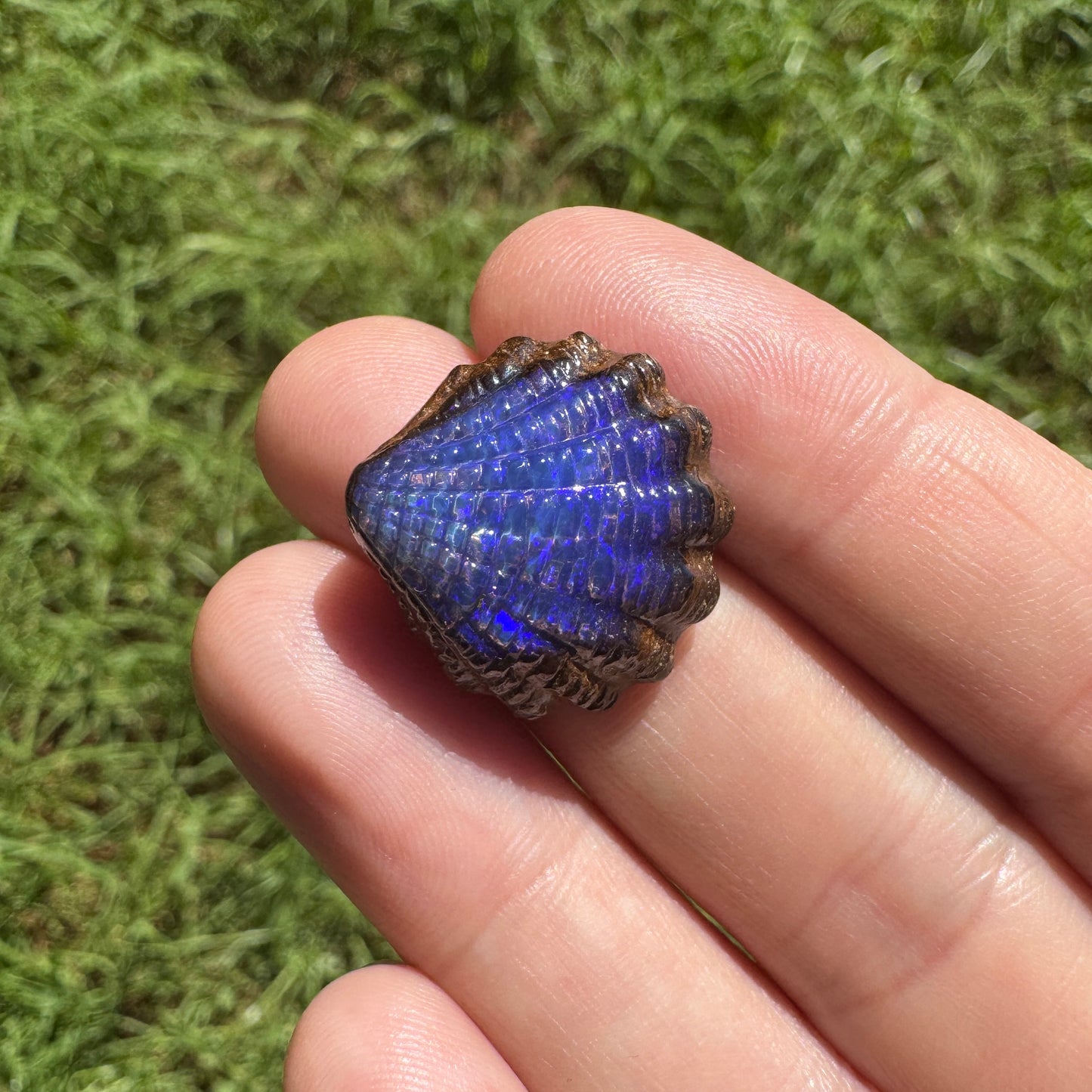 18.13 Ct fan shell boulder opal carving