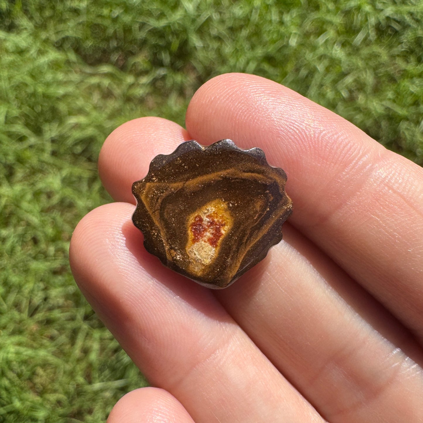 15.65 Ct fan shell boulder opal carving