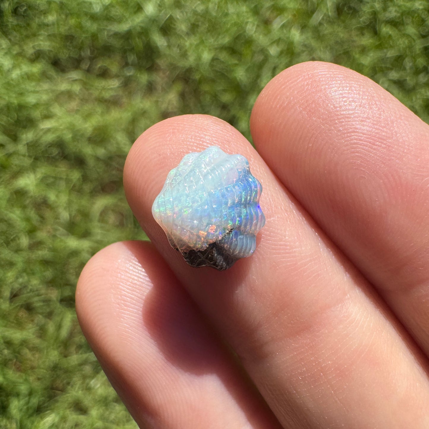 2.18 Ct fan shell boulder opal carving