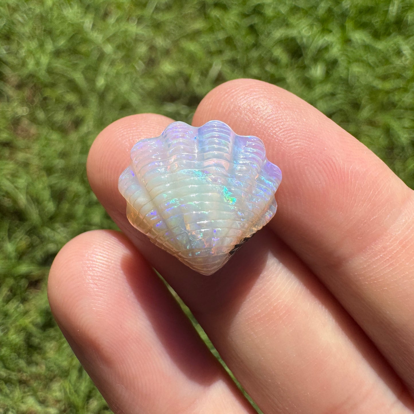 9.54 Ct fan shell boulder opal carving