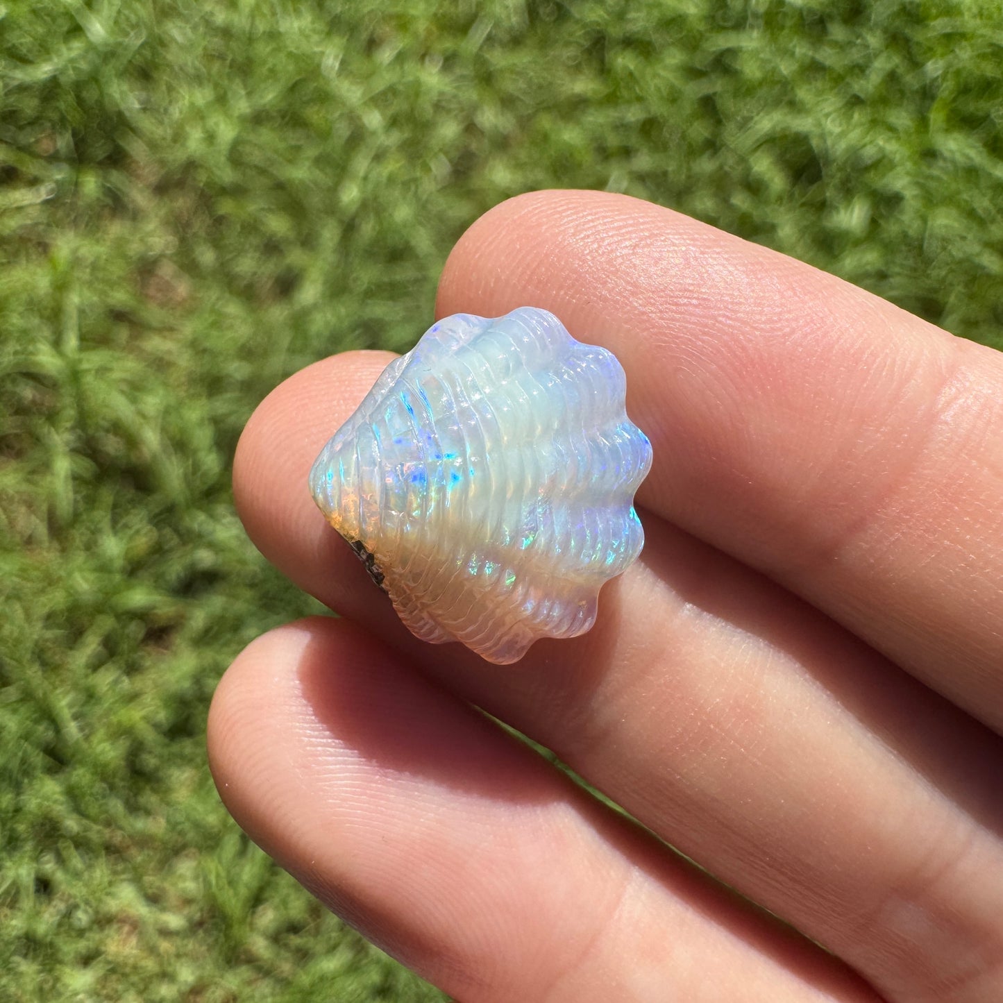 9.54 Ct fan shell boulder opal carving