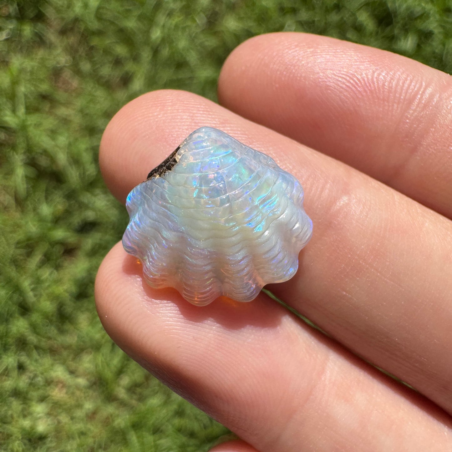 9.54 Ct fan shell boulder opal carving