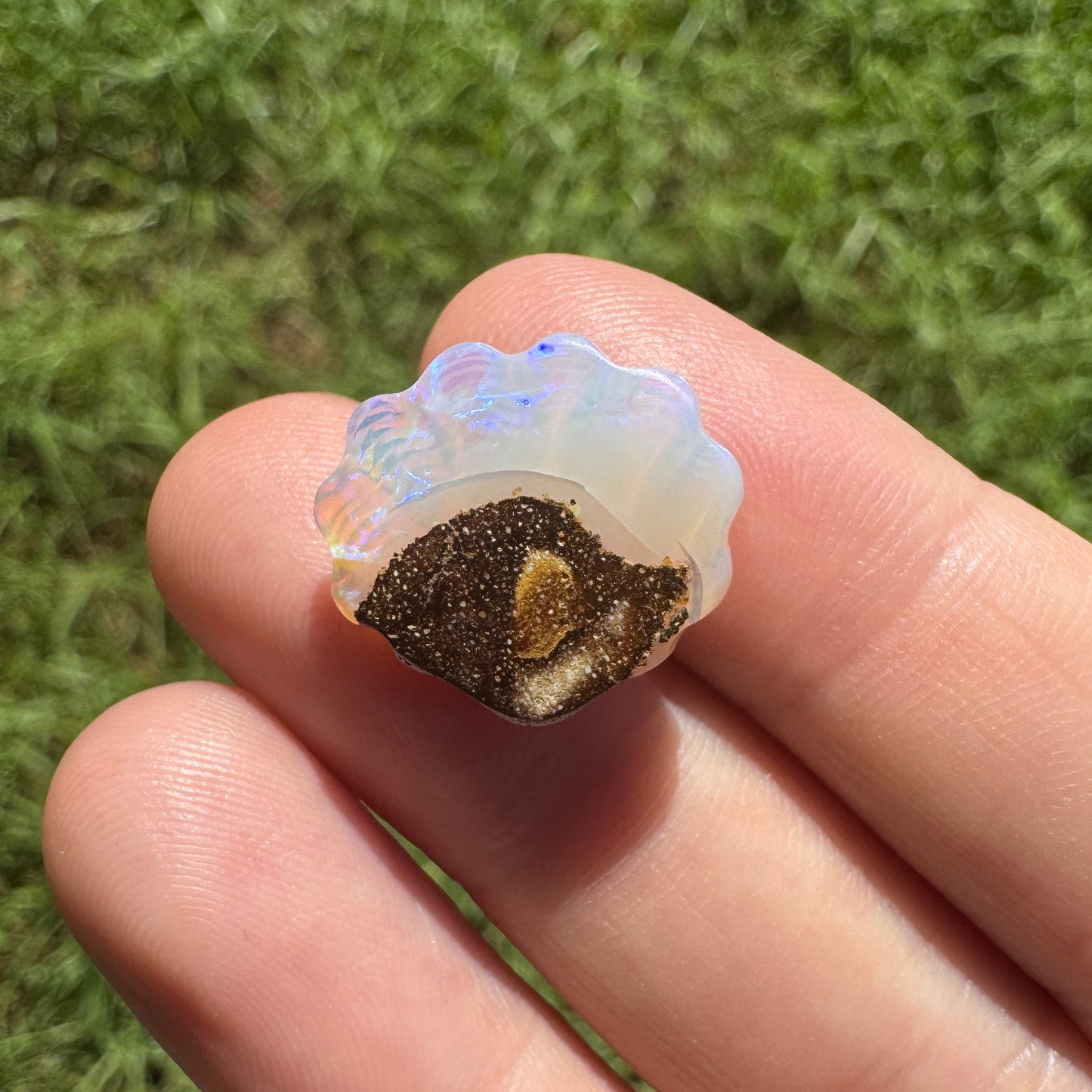 9.54 Ct fan shell boulder opal carving