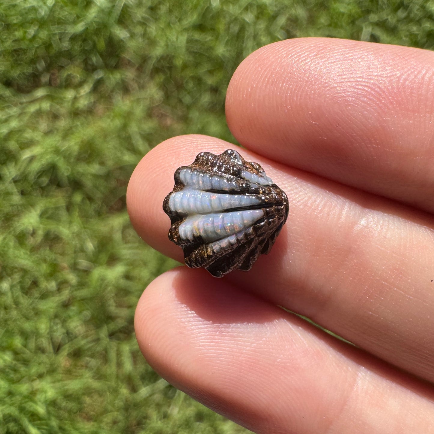 4.60 Ct fan shell boulder opal carving