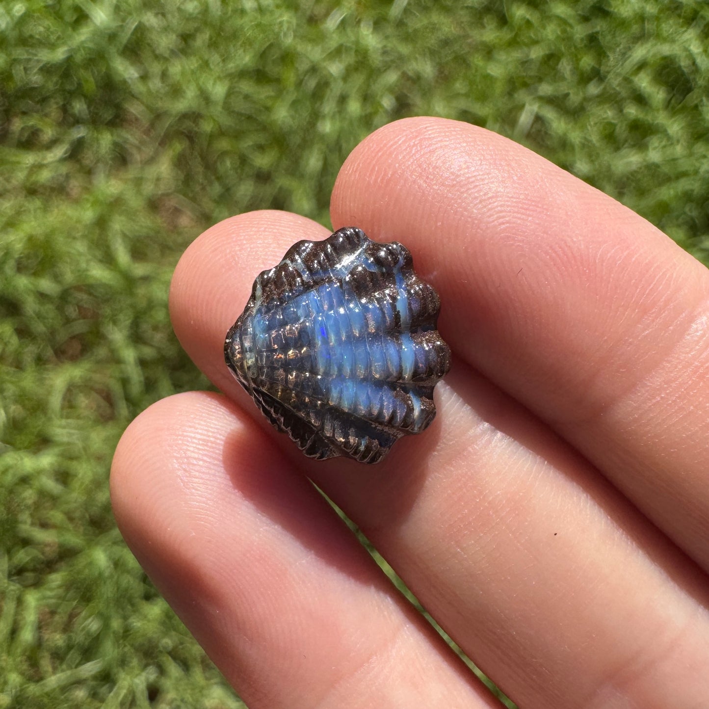 7.41 Ct fan shell boulder opal carving