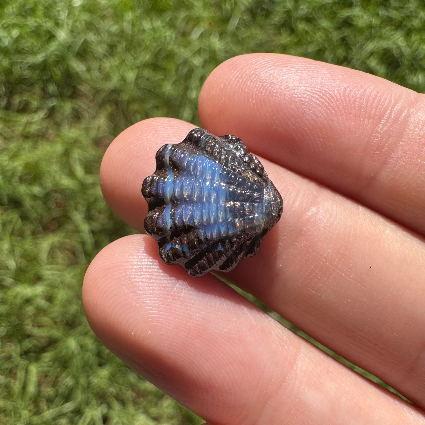 7.41 Ct fan shell boulder opal carving