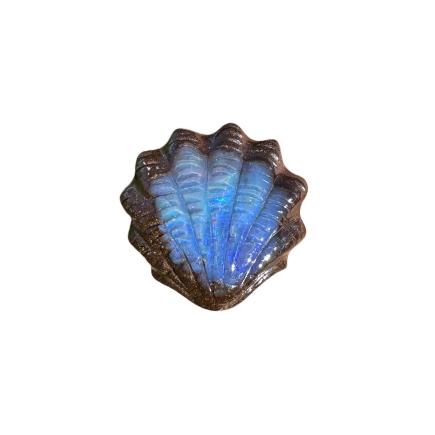 6.13 Ct fan shell boulder opal carving