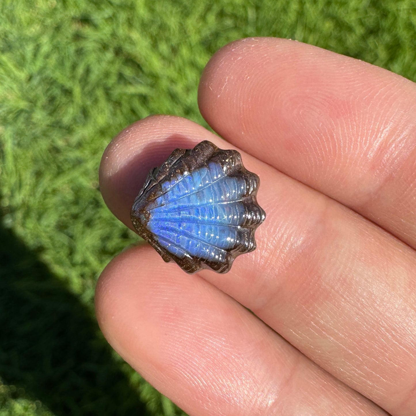 6.13 Ct fan shell boulder opal carving