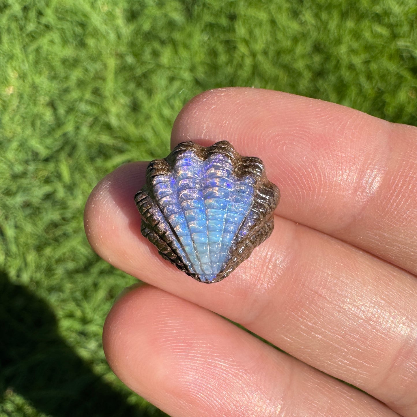 9.28 Ct fan shell boulder opal carving
