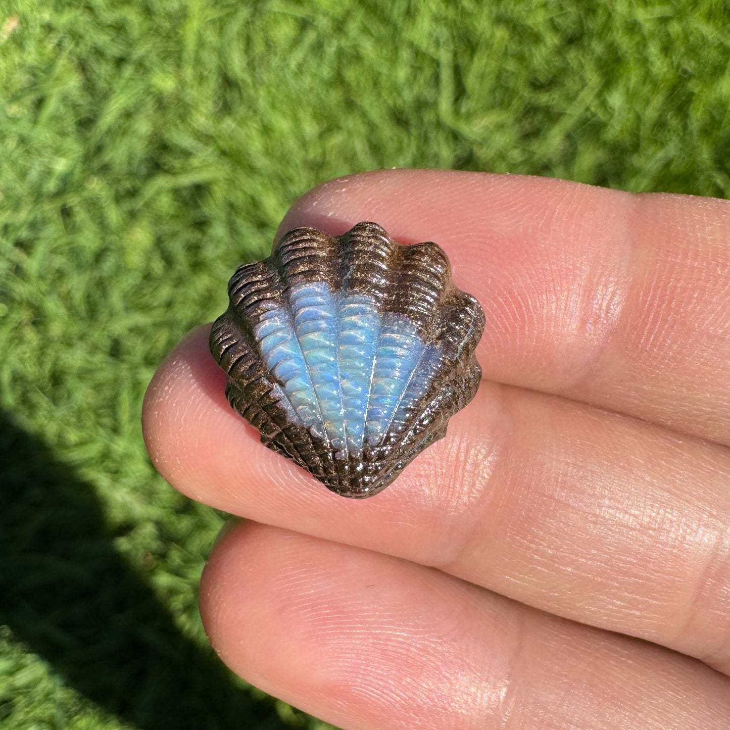 13.95 Ct fan shell boulder opal carving