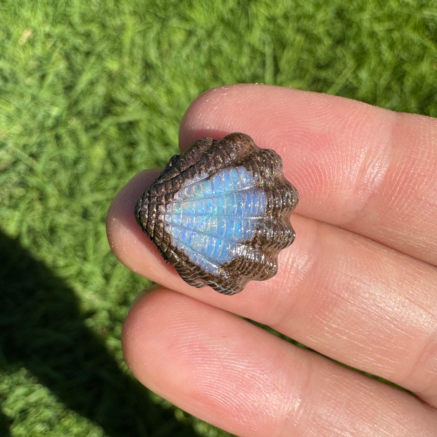 13.95 Ct fan shell boulder opal carving