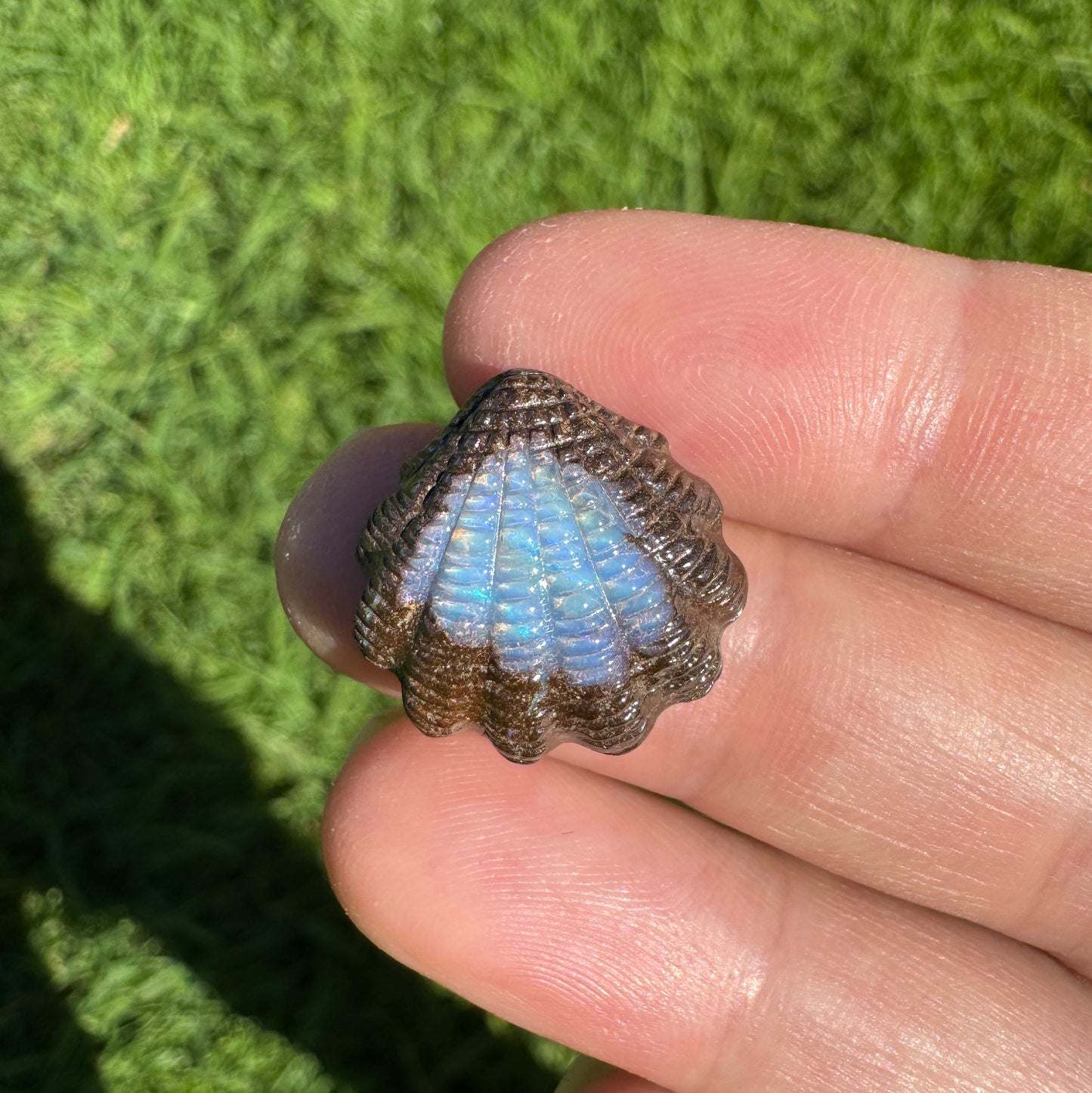 13.95 Ct fan shell boulder opal carving