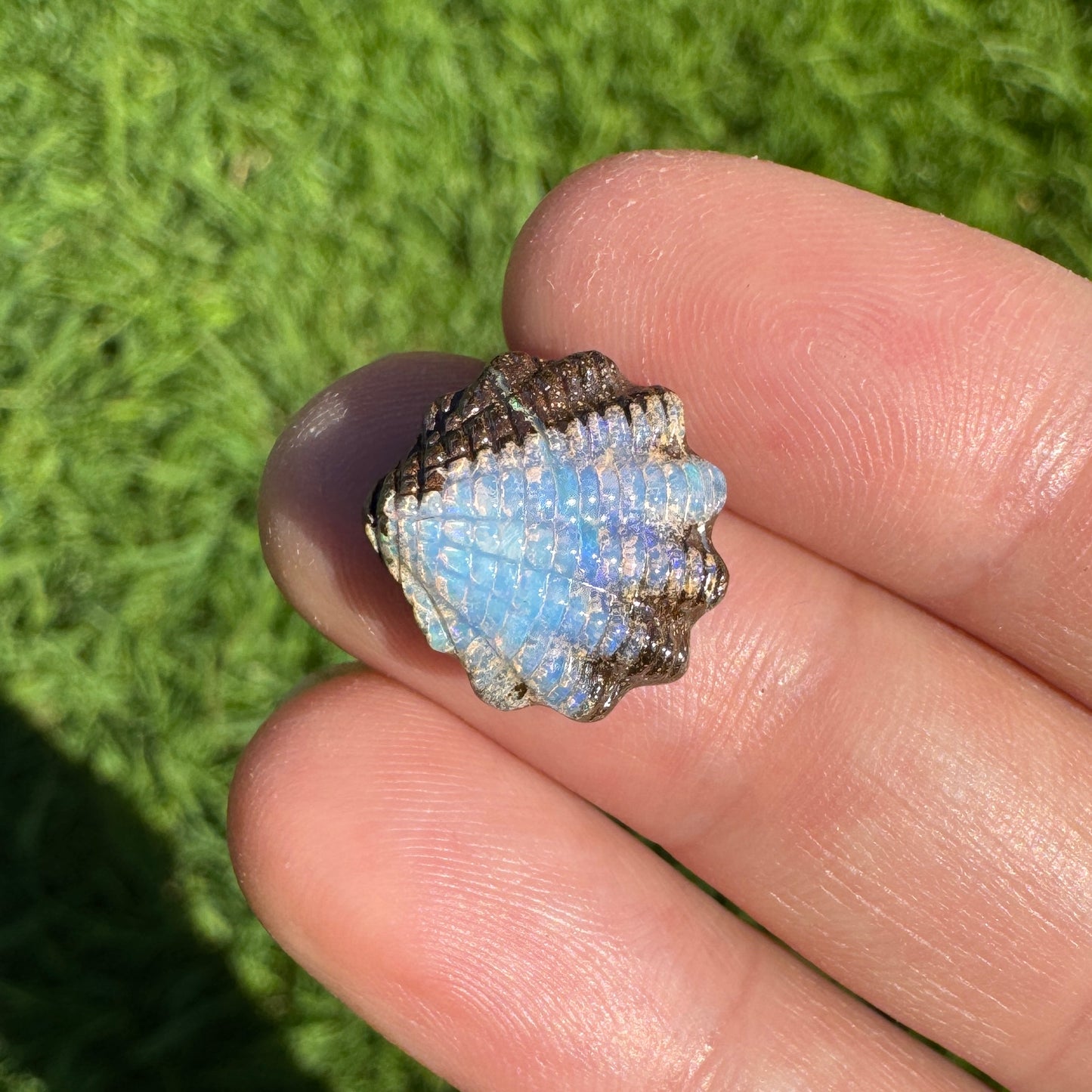 7.14 Ct fan shell boulder opal carving