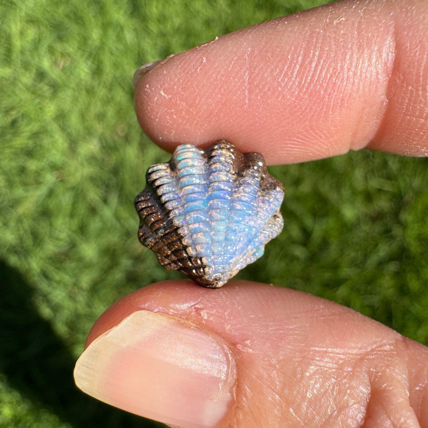7.14 Ct fan shell boulder opal carving
