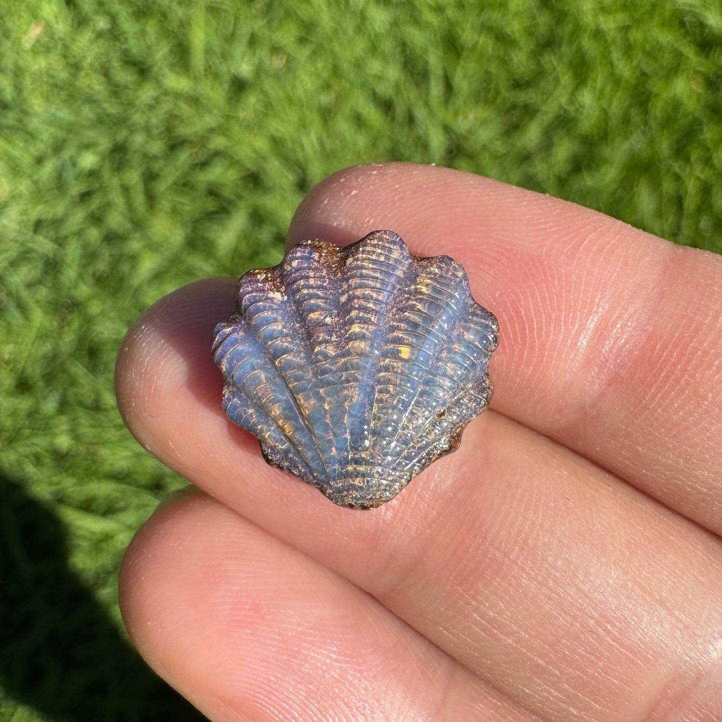 8.92 Ct fan shell boulder opal carving