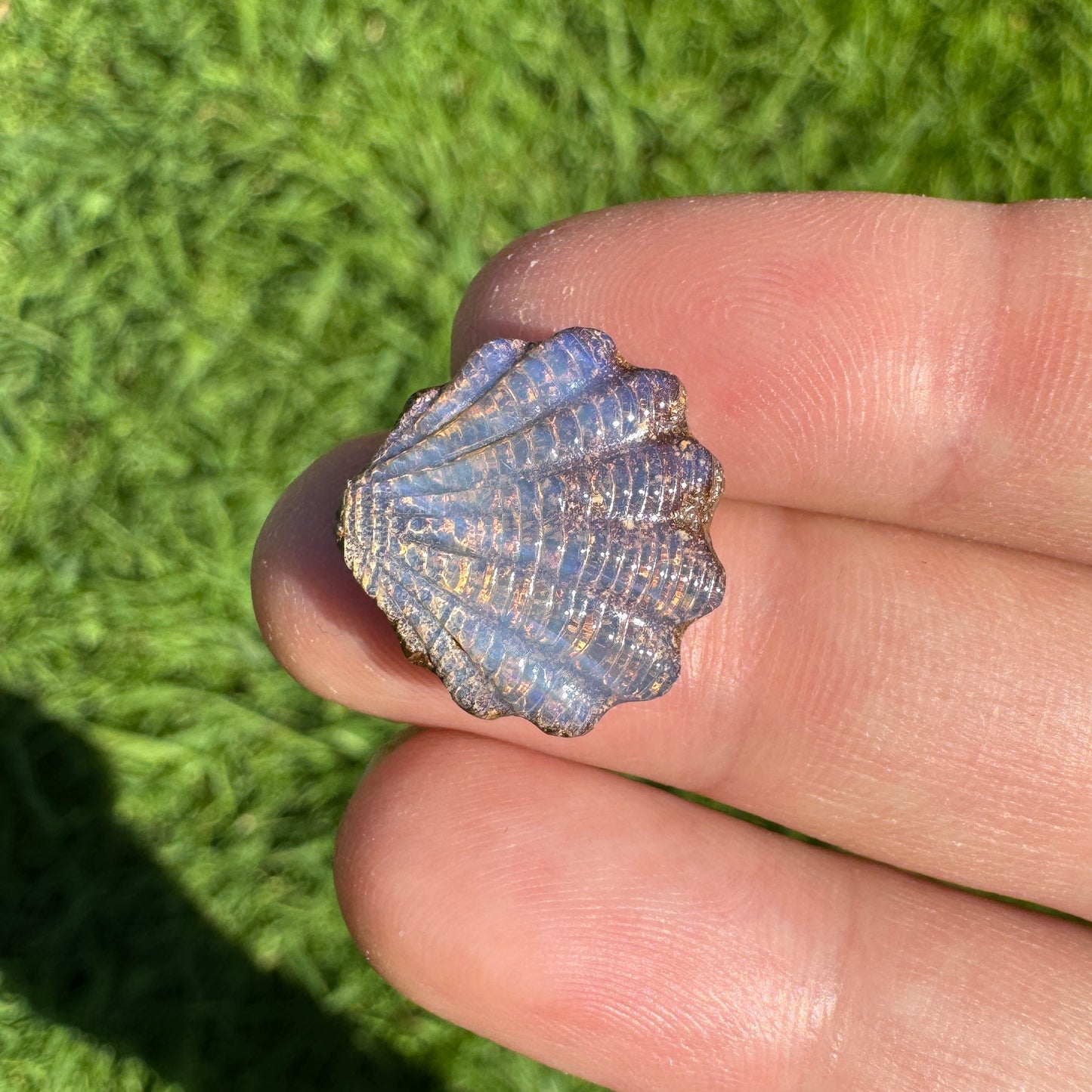 8.92 Ct fan shell boulder opal carving