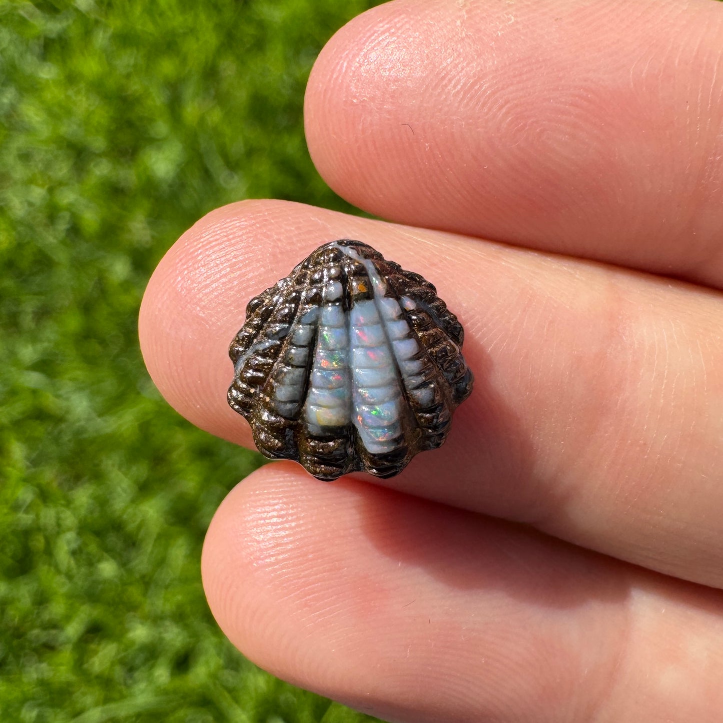 4.21 fan shell boulder opal carving
