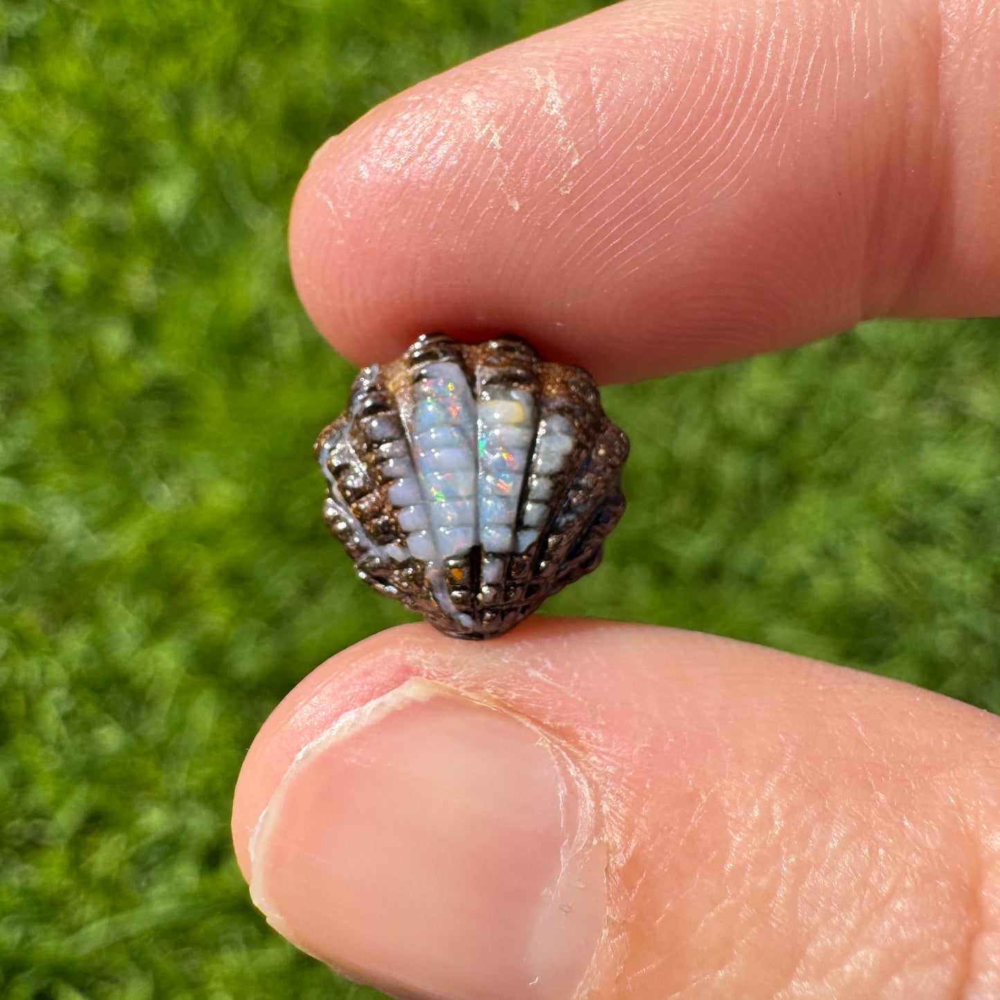 4.21 fan shell boulder opal carving