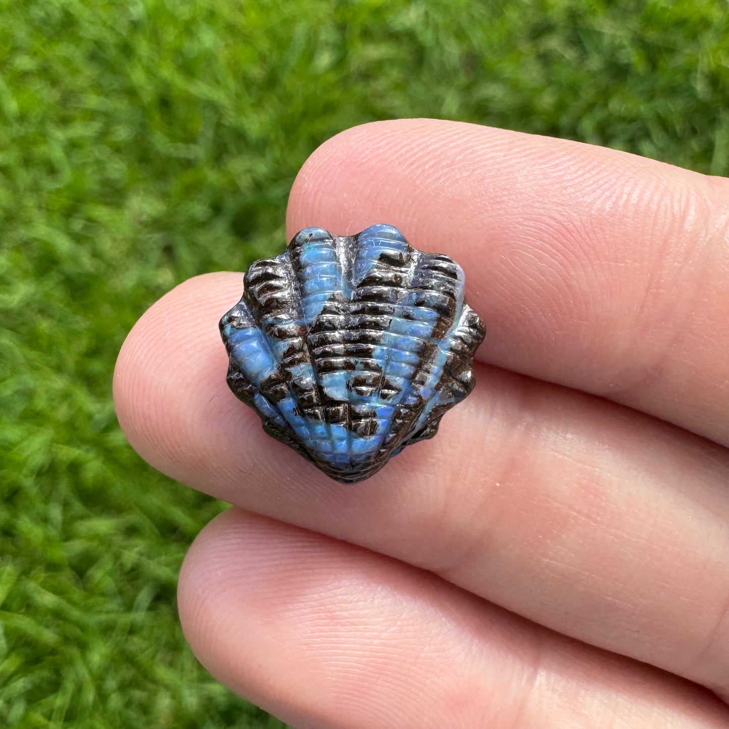 6.58 Ct fan shell boulder opal carving