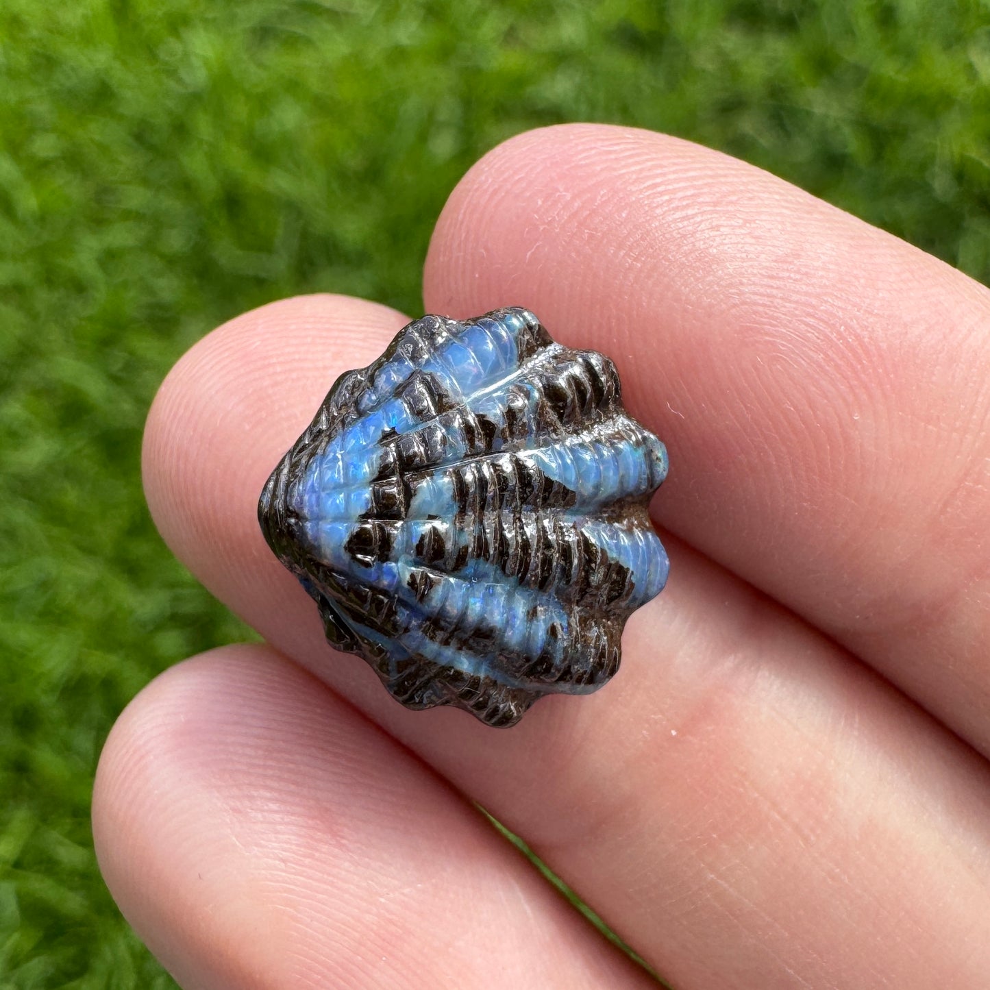 6.58 Ct fan shell boulder opal carving