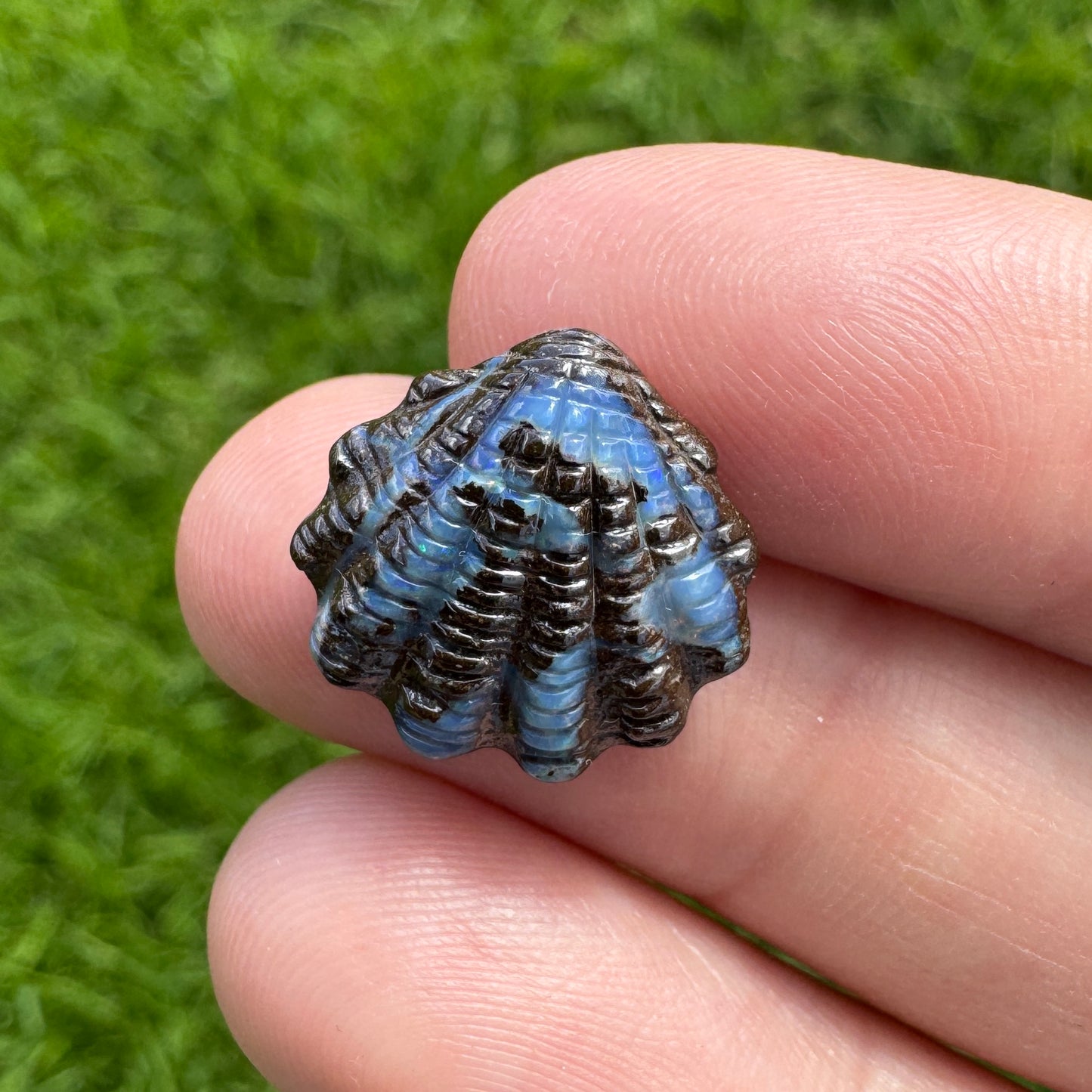 6.58 Ct fan shell boulder opal carving