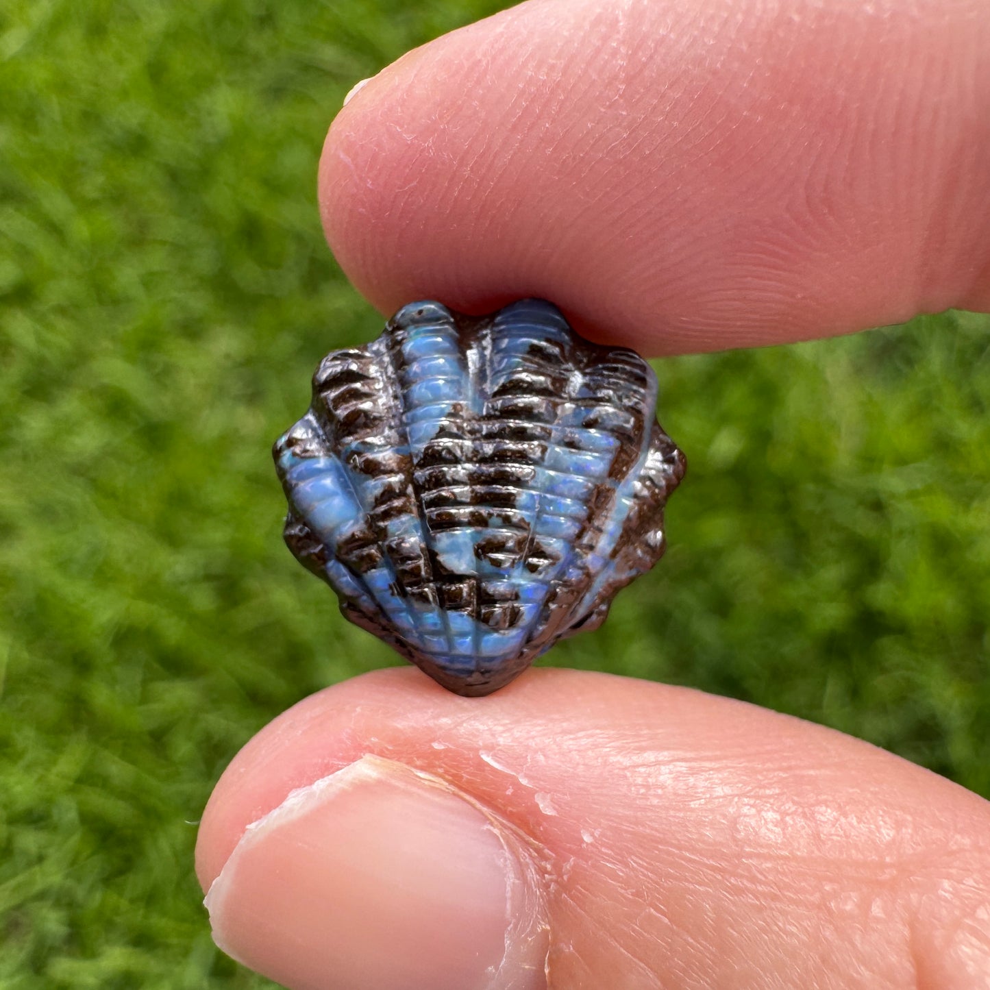 6.58 Ct fan shell boulder opal carving