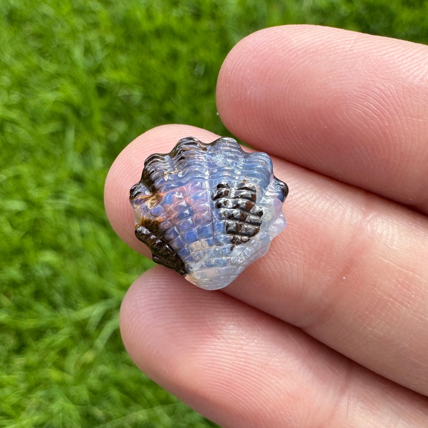 5.35 Ct fan shell boulder opal carving