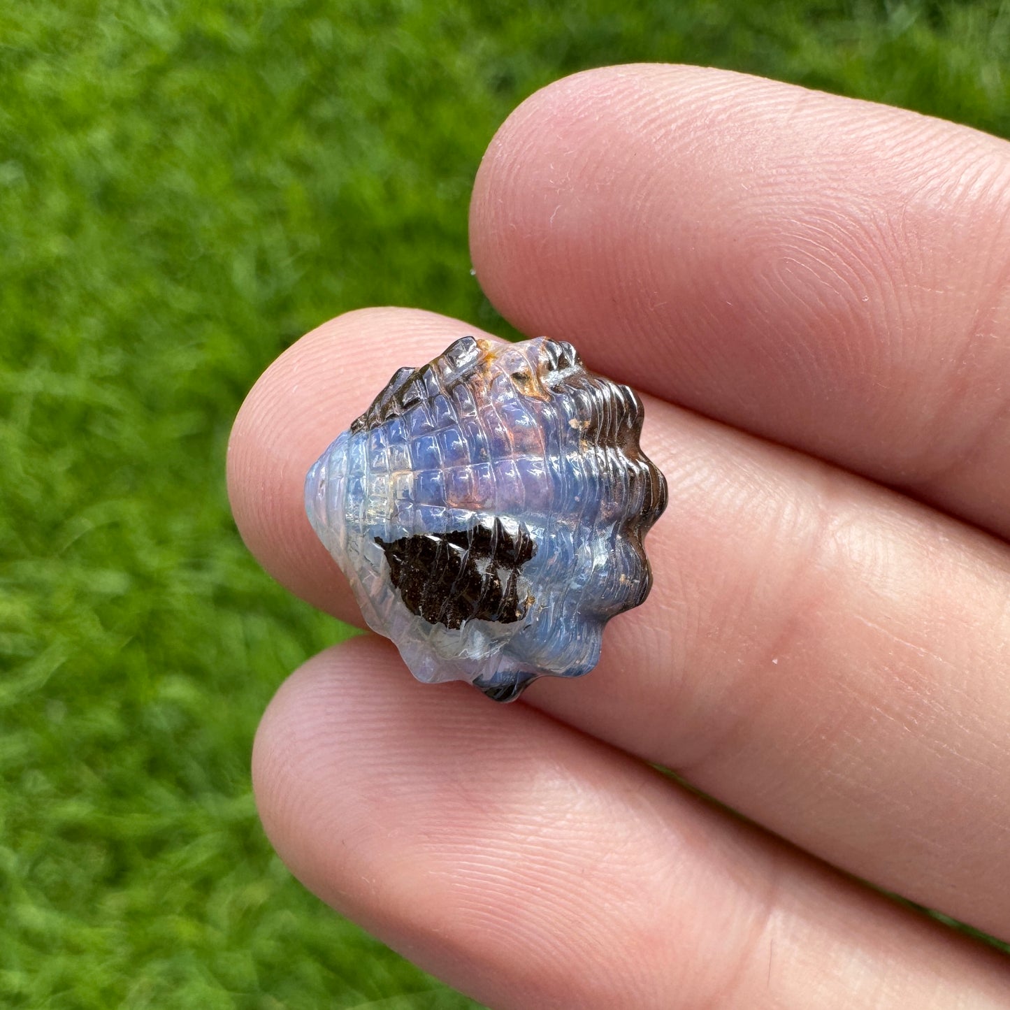 5.35 Ct fan shell boulder opal carving