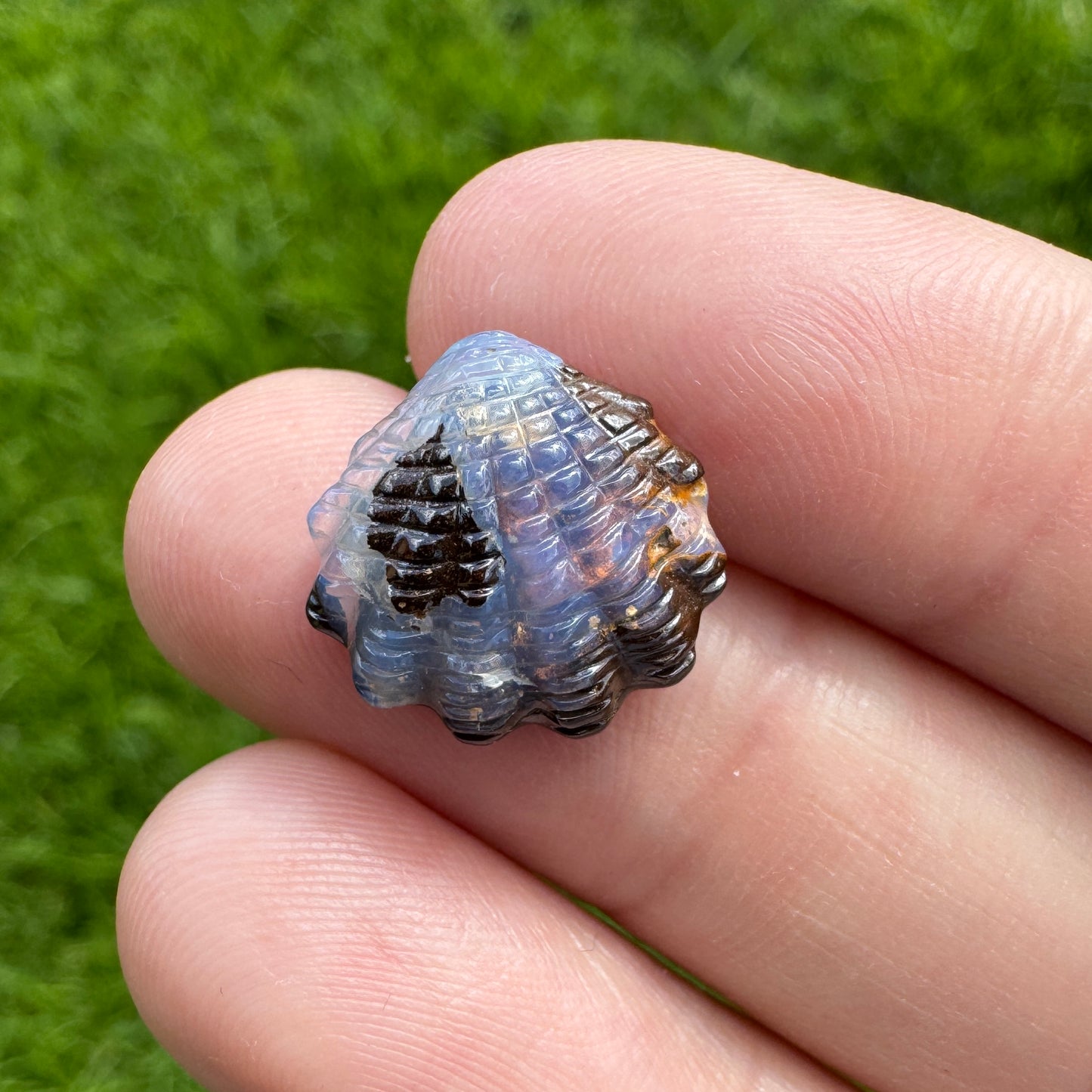 5.35 Ct fan shell boulder opal carving